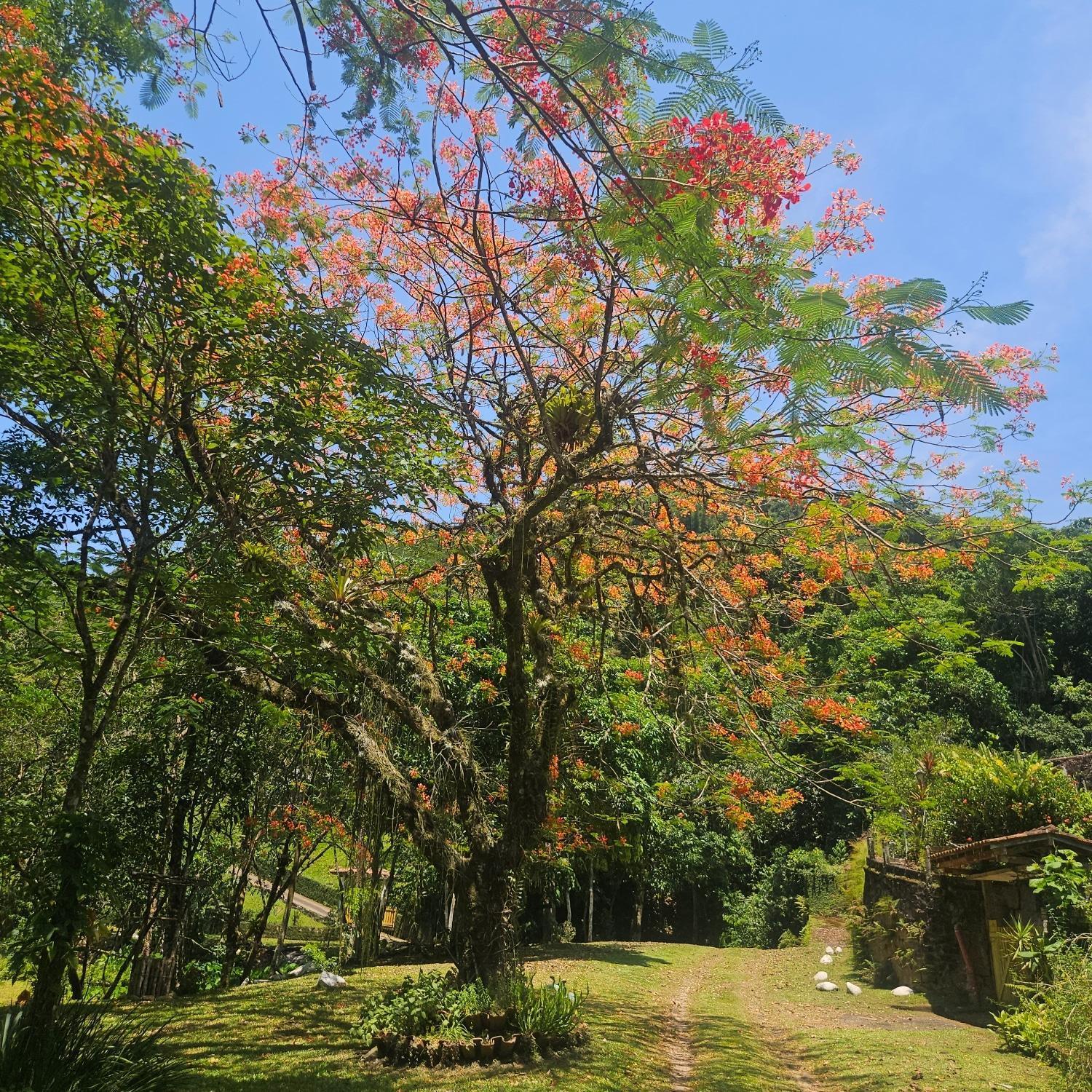 Sitio Cristo Redentor Villa Guapimirim Buitenkant foto